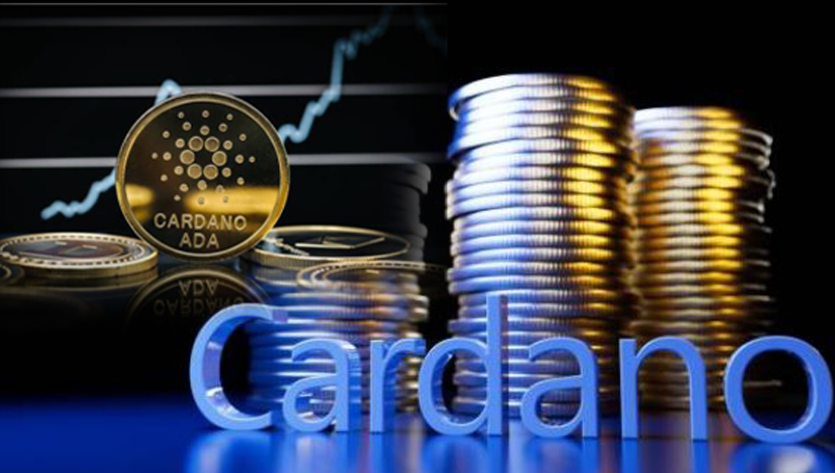 Cardano