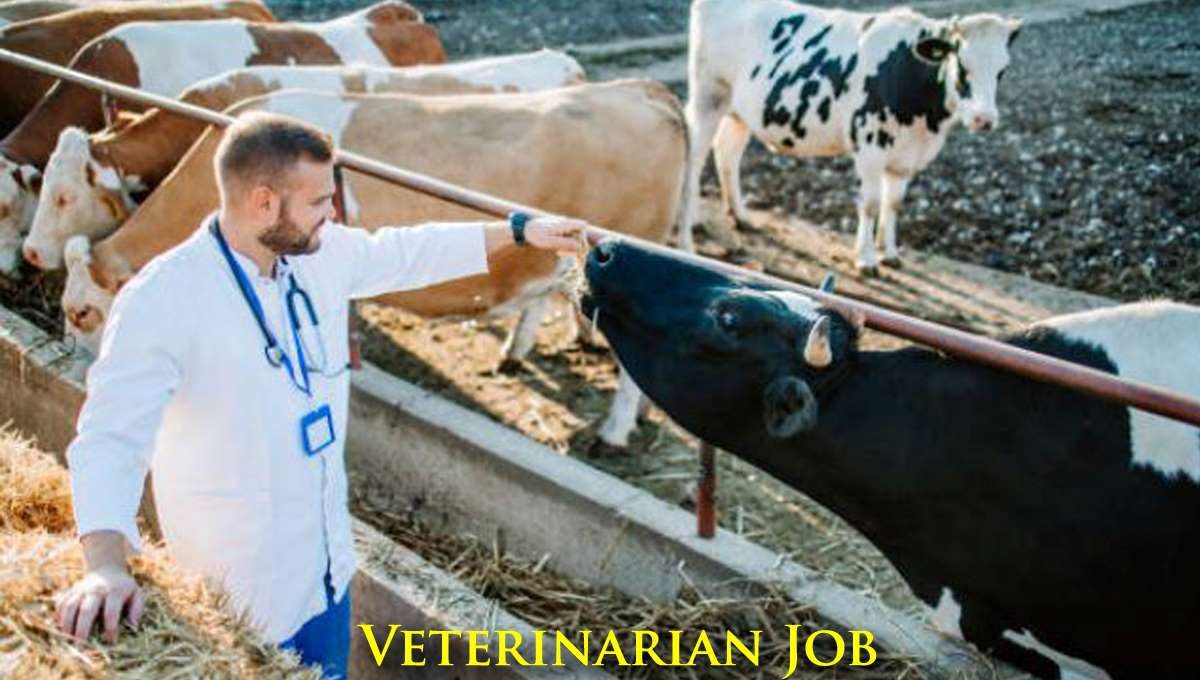 Car Accident Attorney Colorado Springs